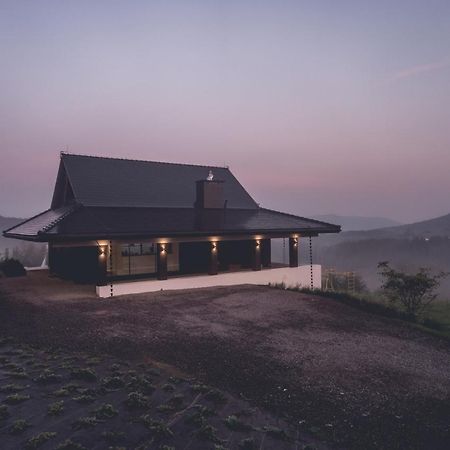 Villa Panorama - Szklany Dom 加沃尔金卡 外观 照片